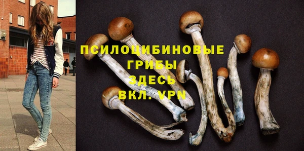 ГАЛЛЮЦИНОГЕННЫЕ ГРИБЫ Балабаново