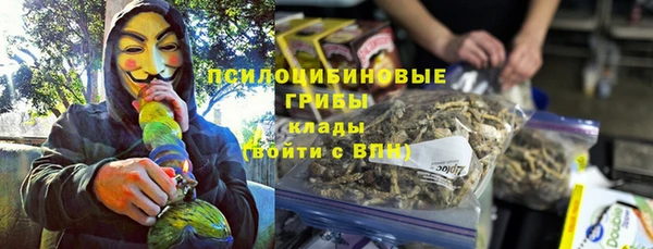 гидра Арсеньев