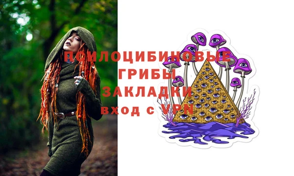 твердый Аркадак