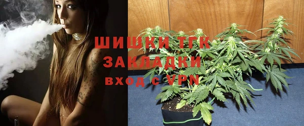 гидра Арсеньев