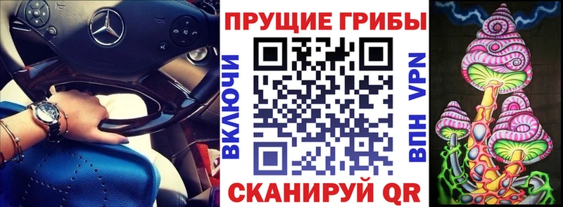 Псилоцибиновые грибы Psilocybine cubensis  закладка  Богучар 